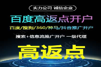 SEM推广案例：打造高效广告投放策略